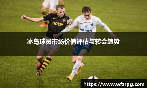 冰岛球员市场价值评估与转会趋势